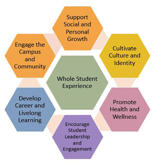 Co-curricular themes diagram